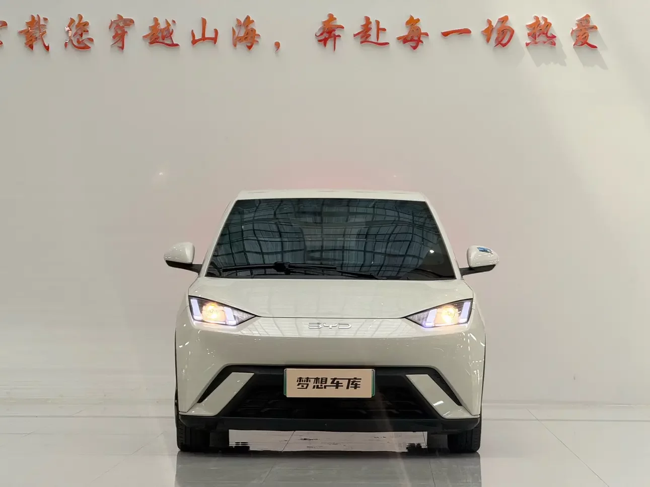 BYD seagull