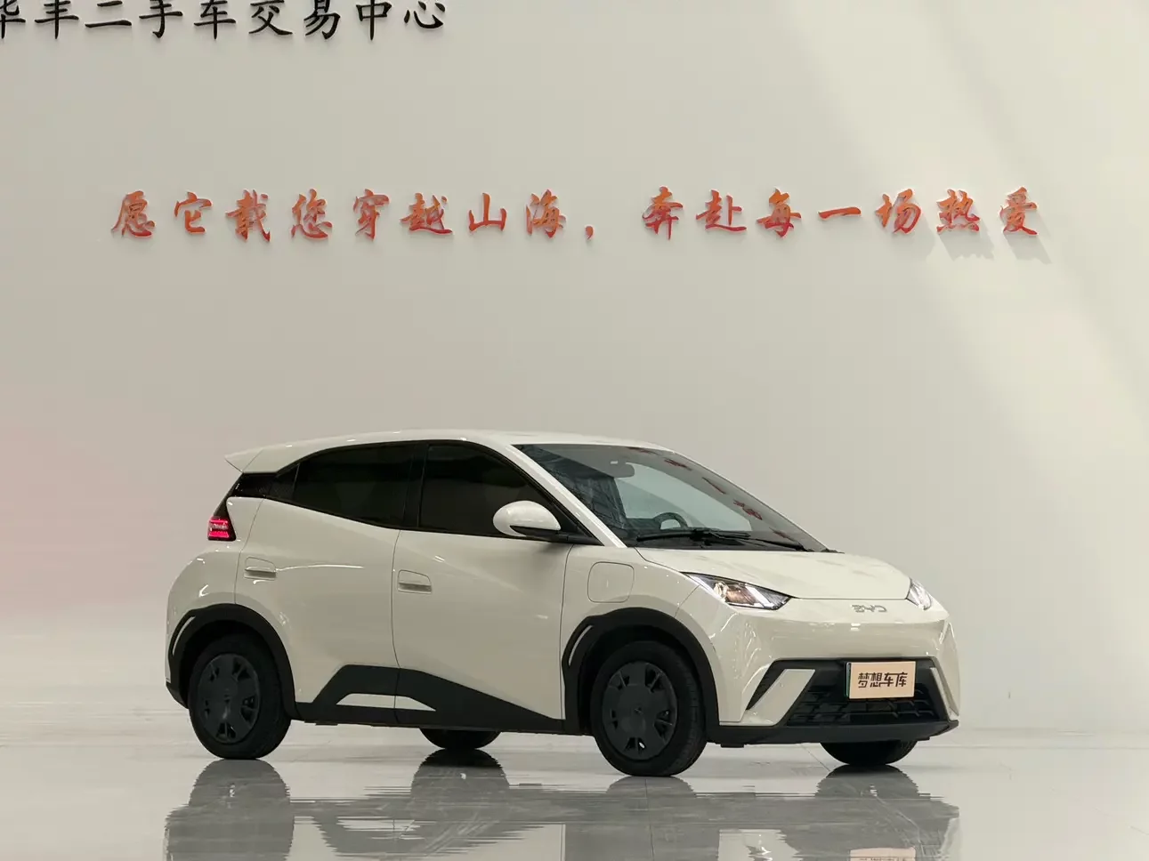 BYD seagull