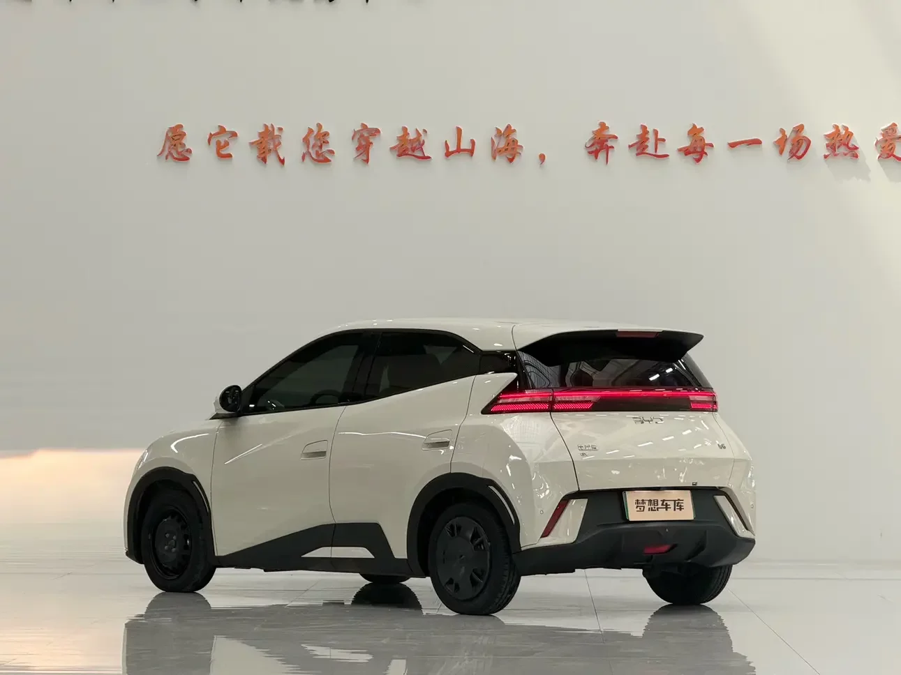 BYD seagull