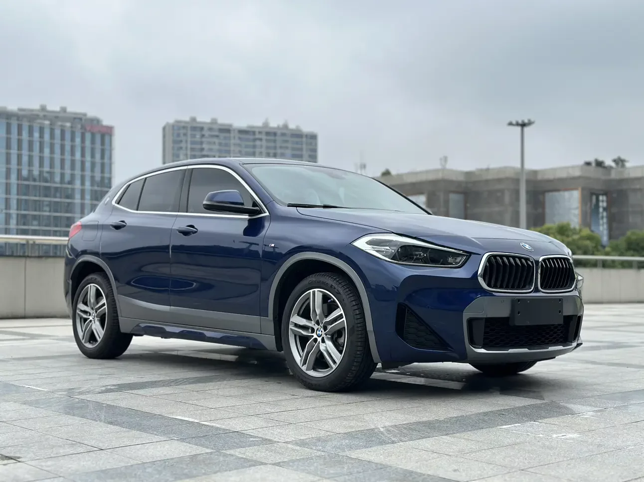 BMW X2