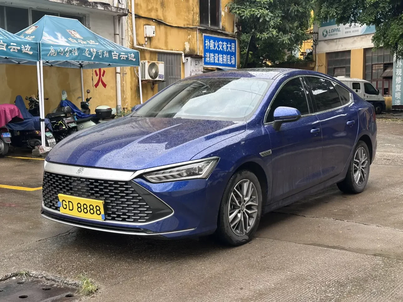 BYD Qin PLUS DM