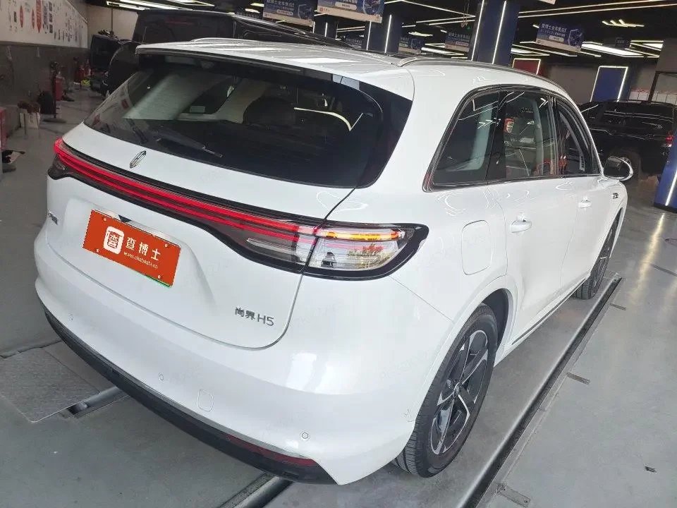 Shangjie H5