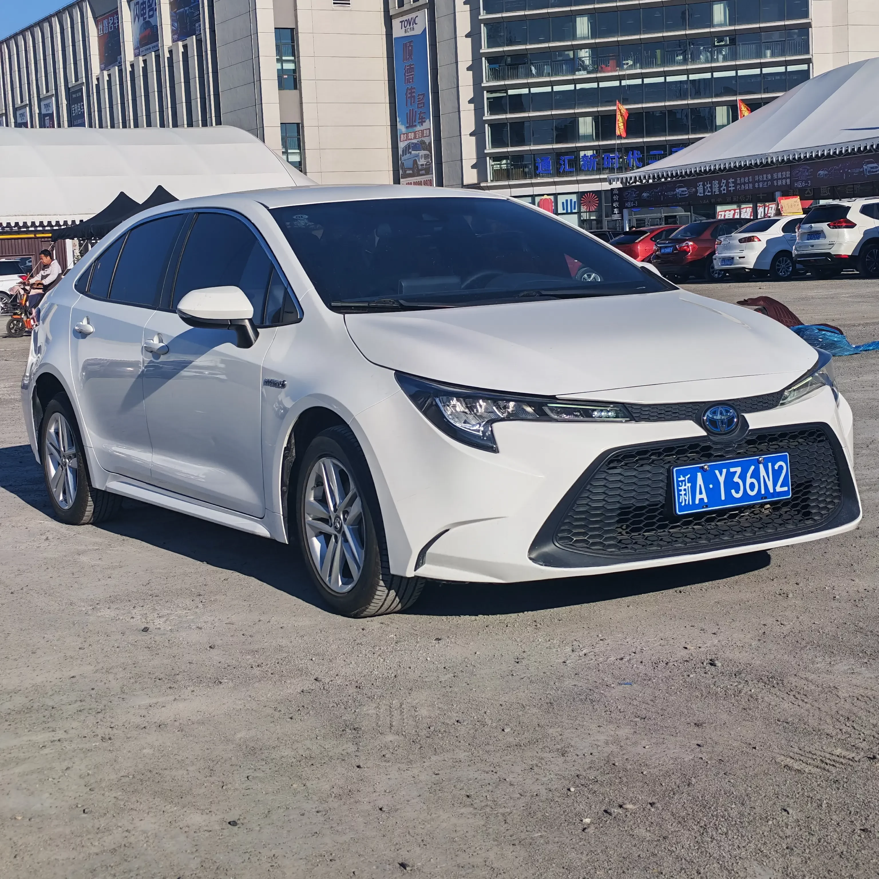 Toyota Levin
