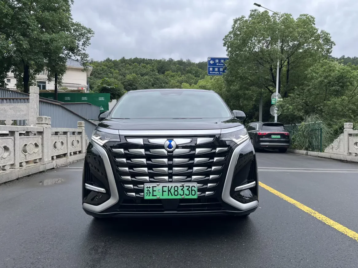 Denza D9 DM