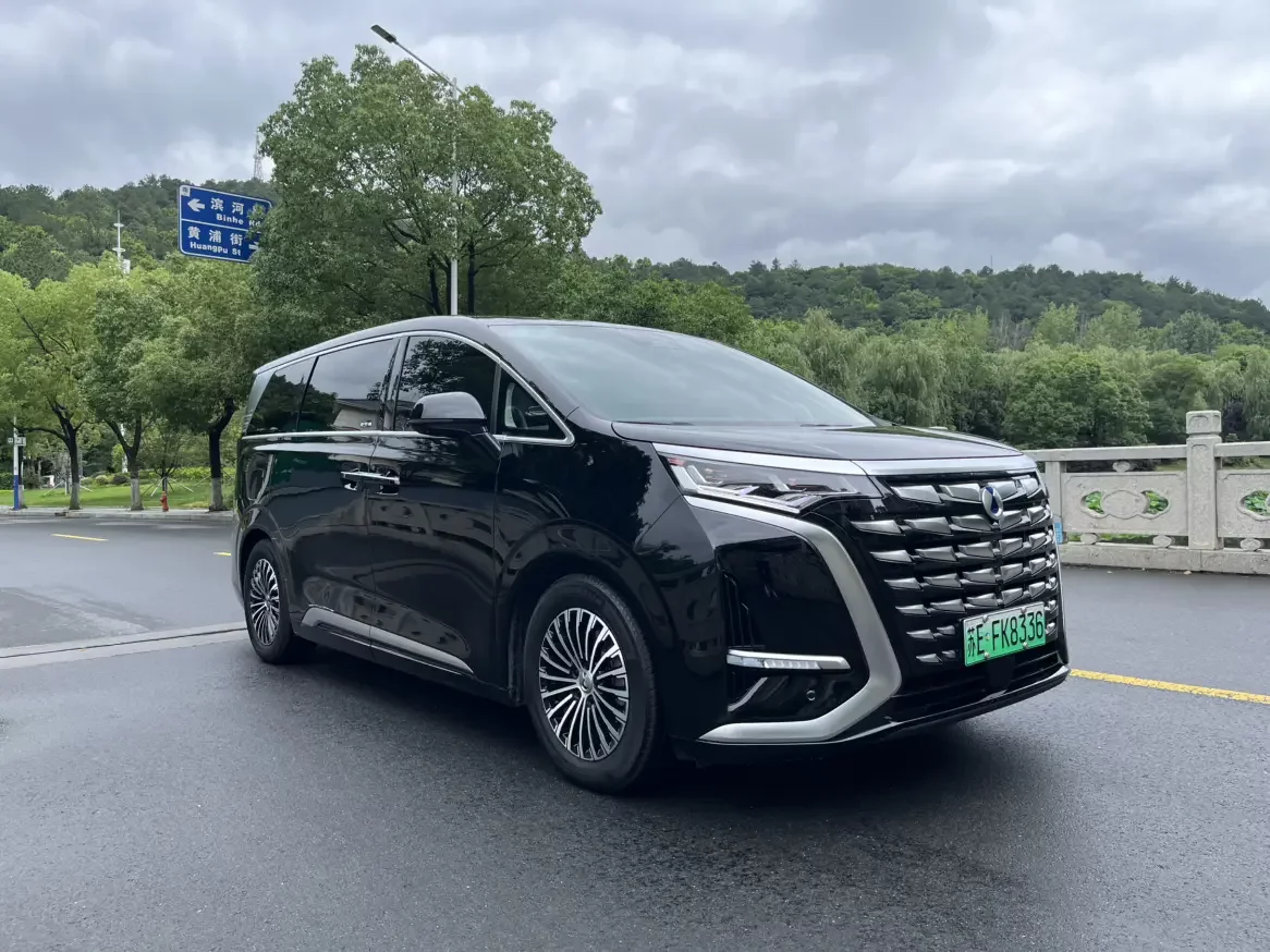 Denza D9 DM