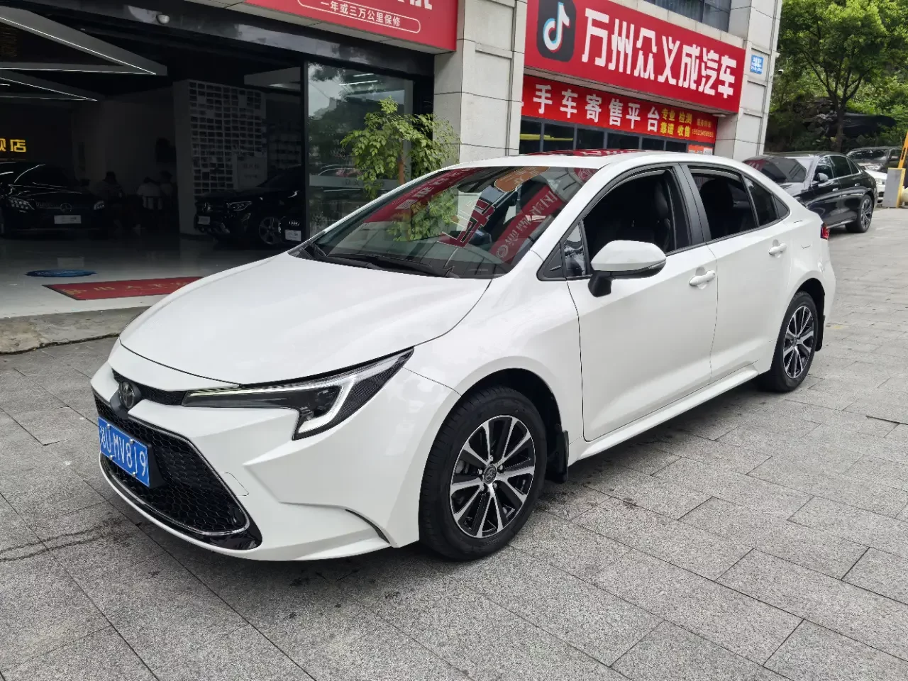 Toyota Levin