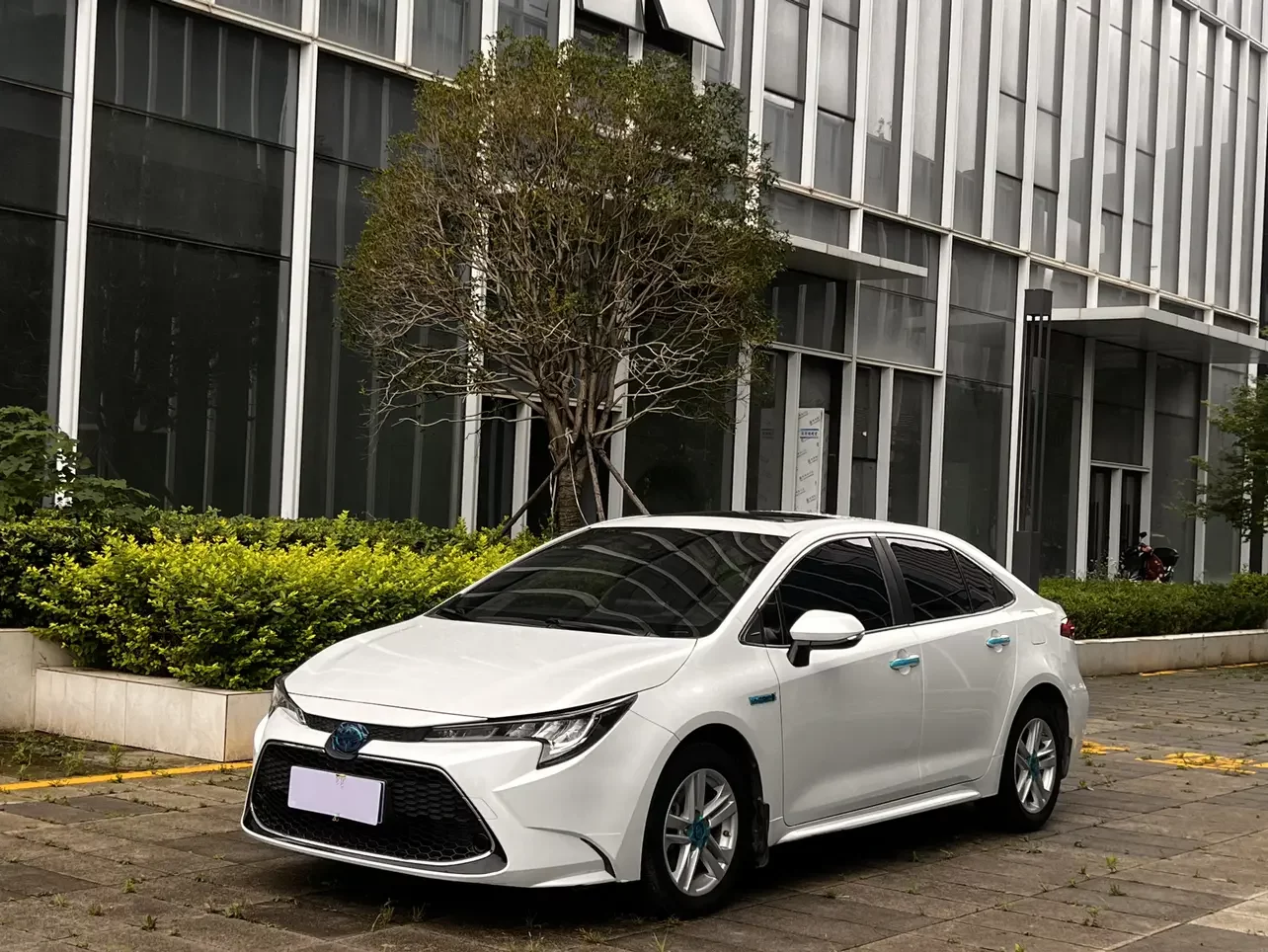 Toyota Levin