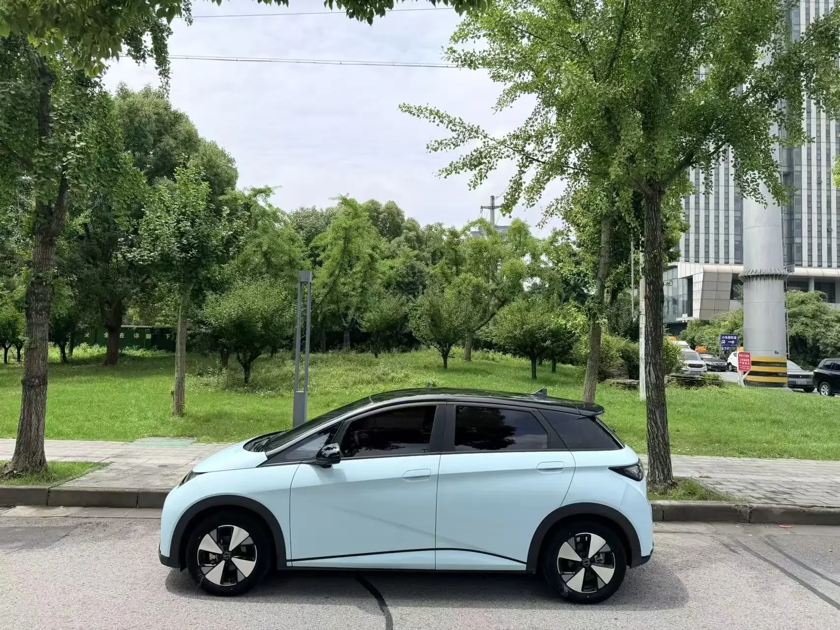 BYD dolphin