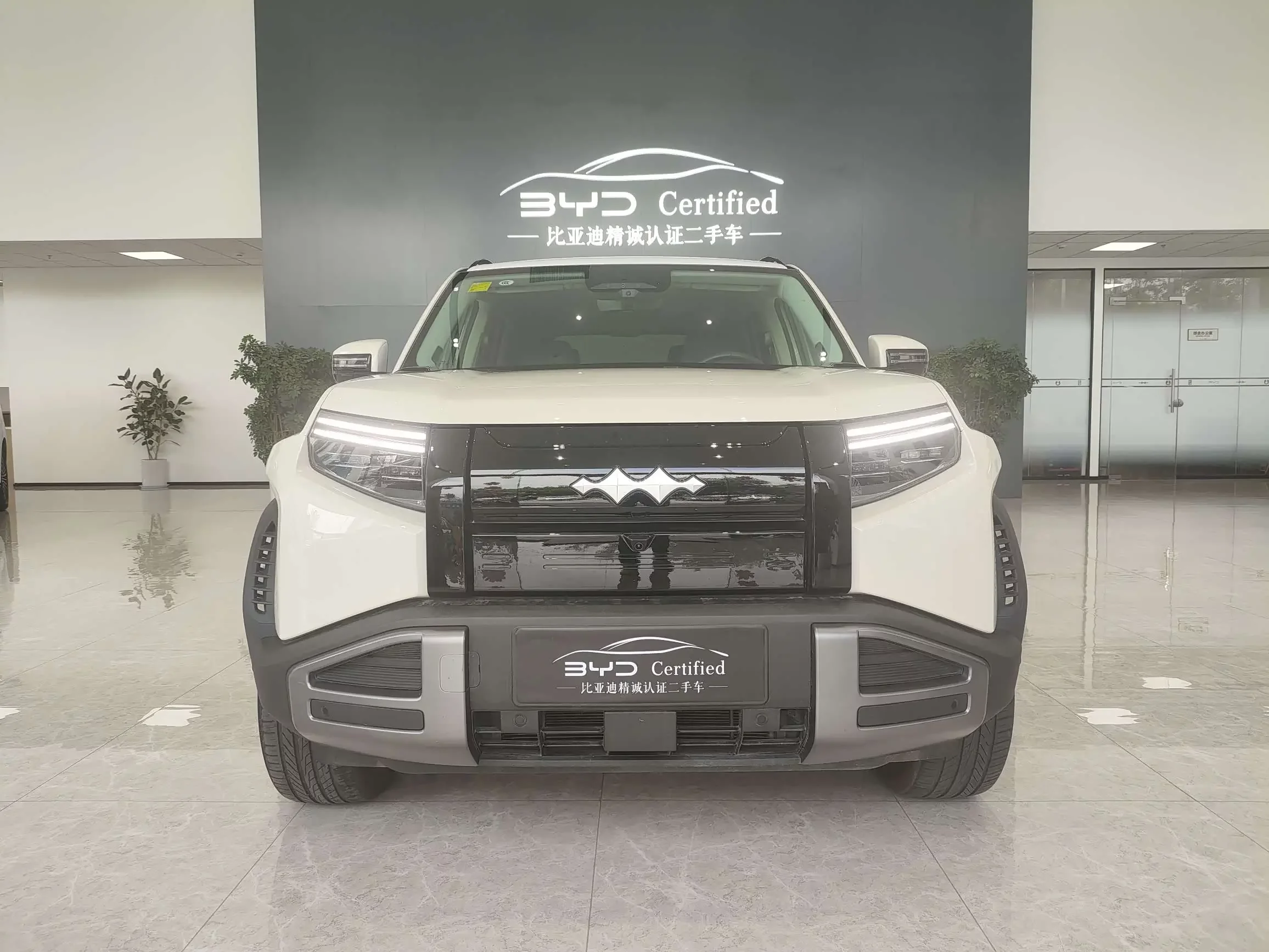 BYD Leopard Titanium 3