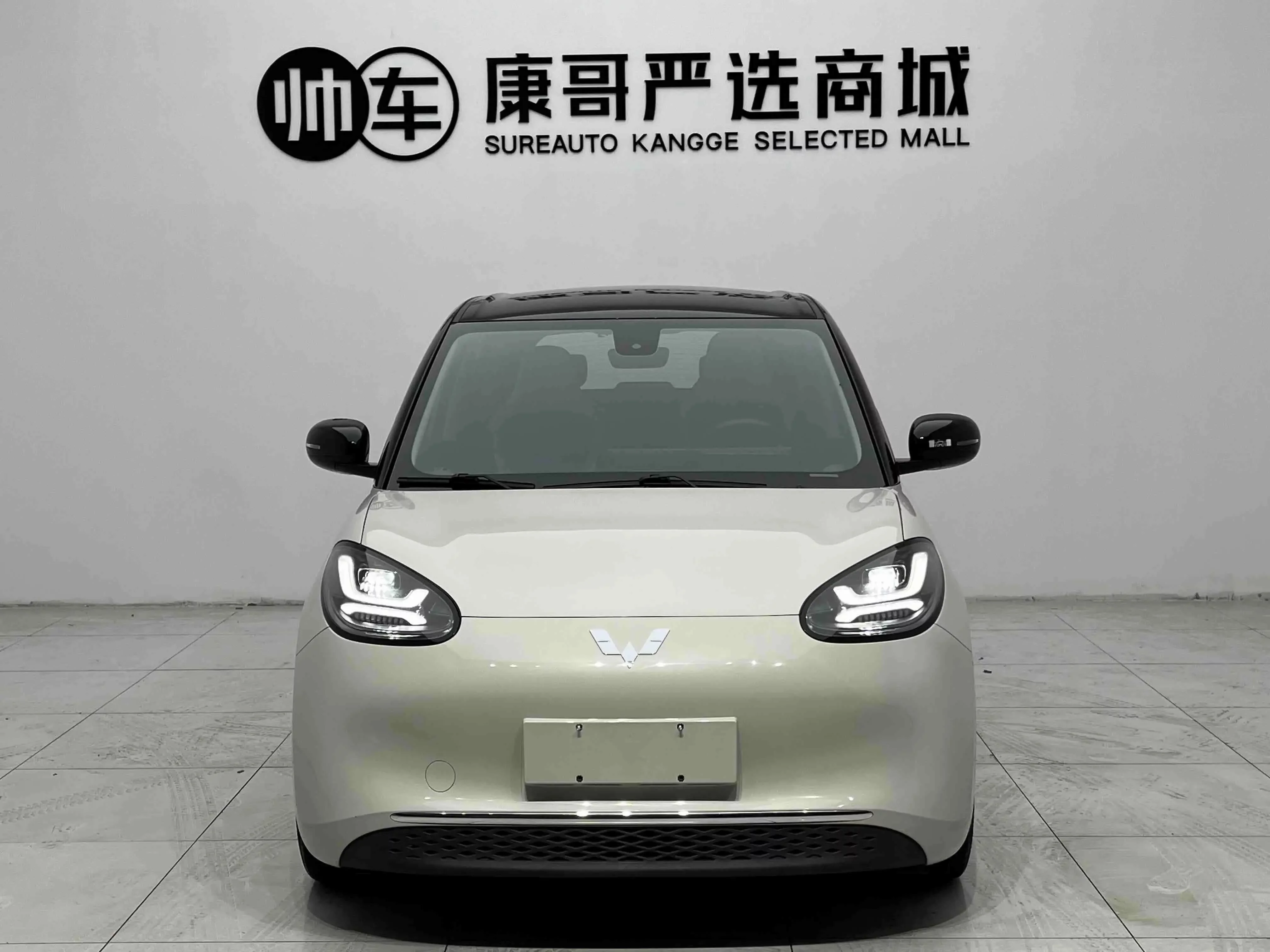Wuling Bingo
