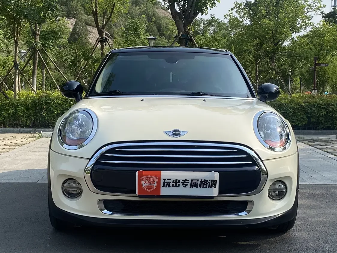 MINI 