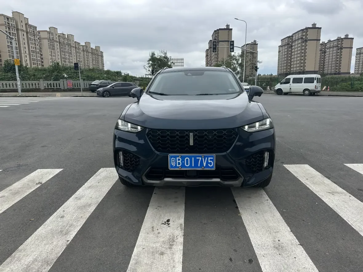Wey Wei brand VV7