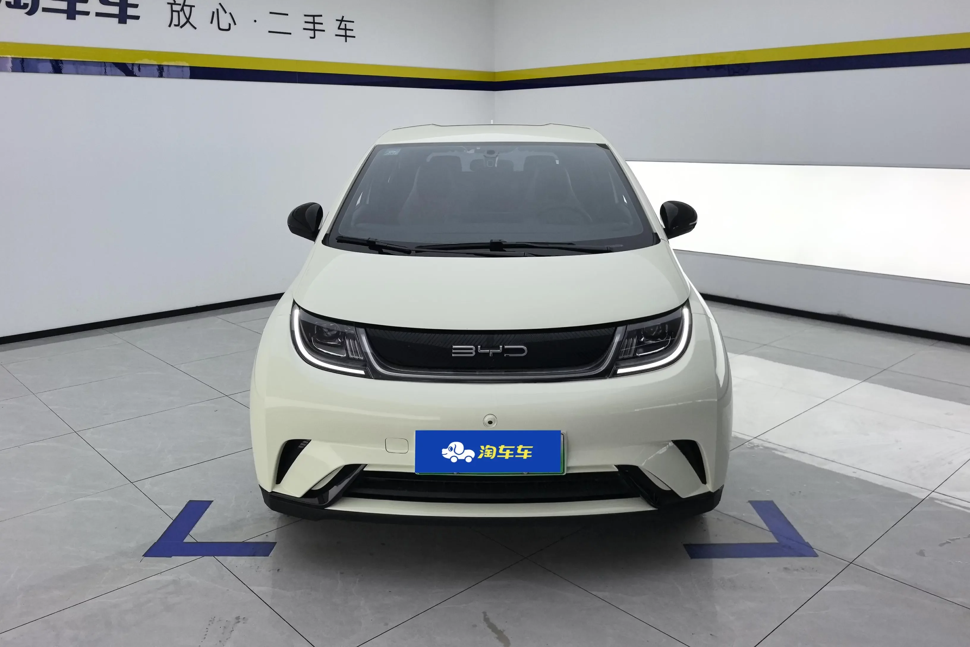 BYD dolphin