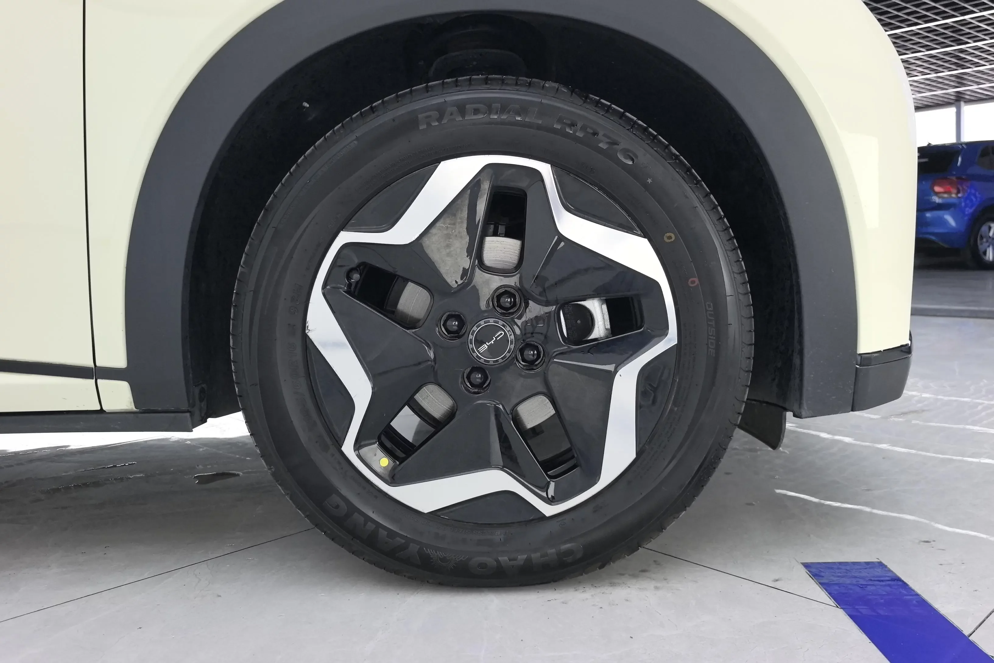 BYD dolphin