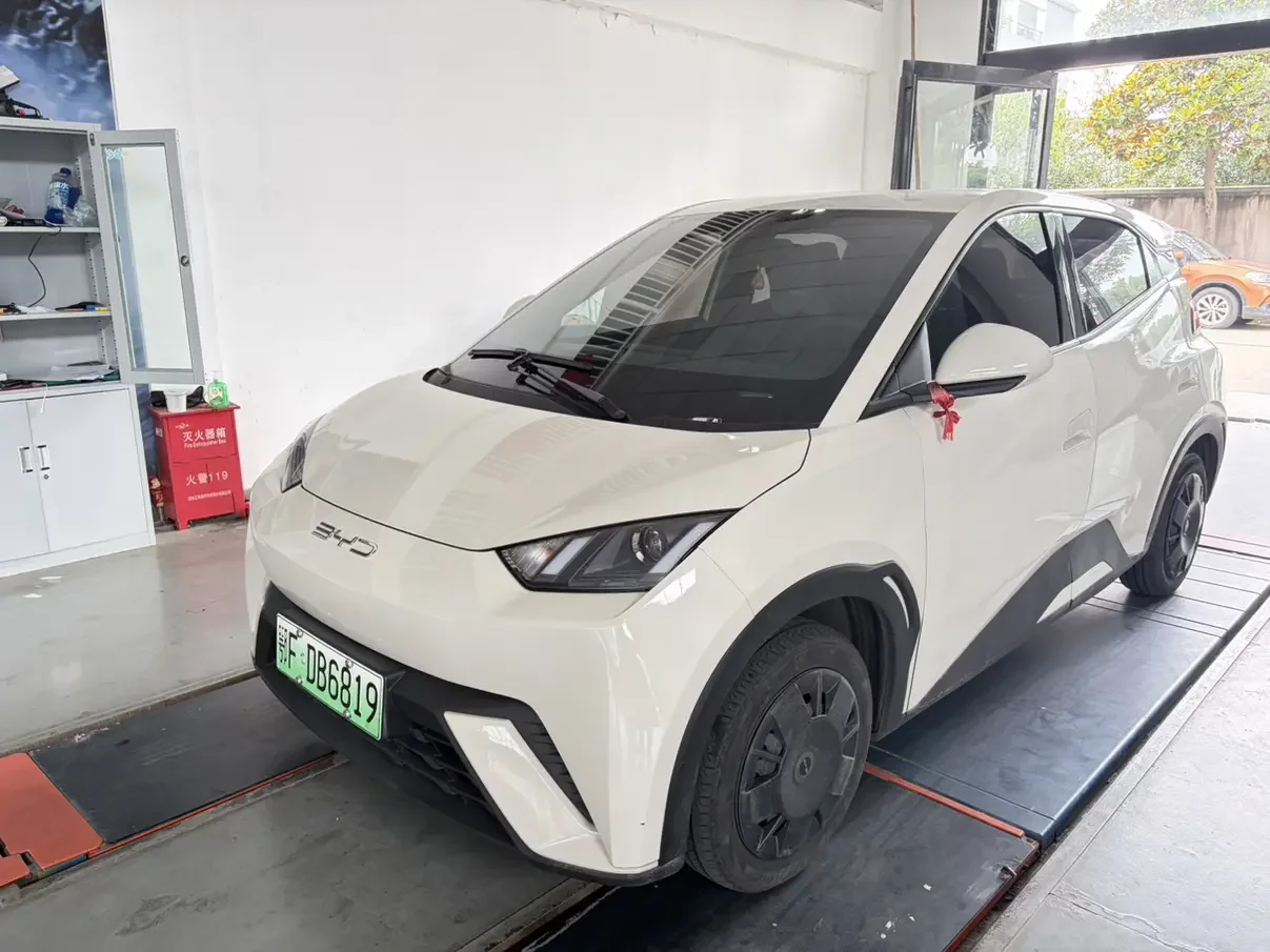 BYD seagull