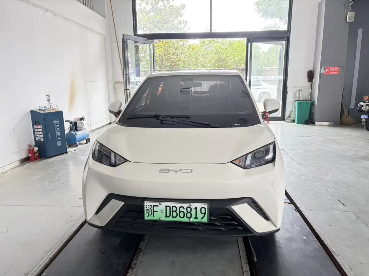 BYD seagull