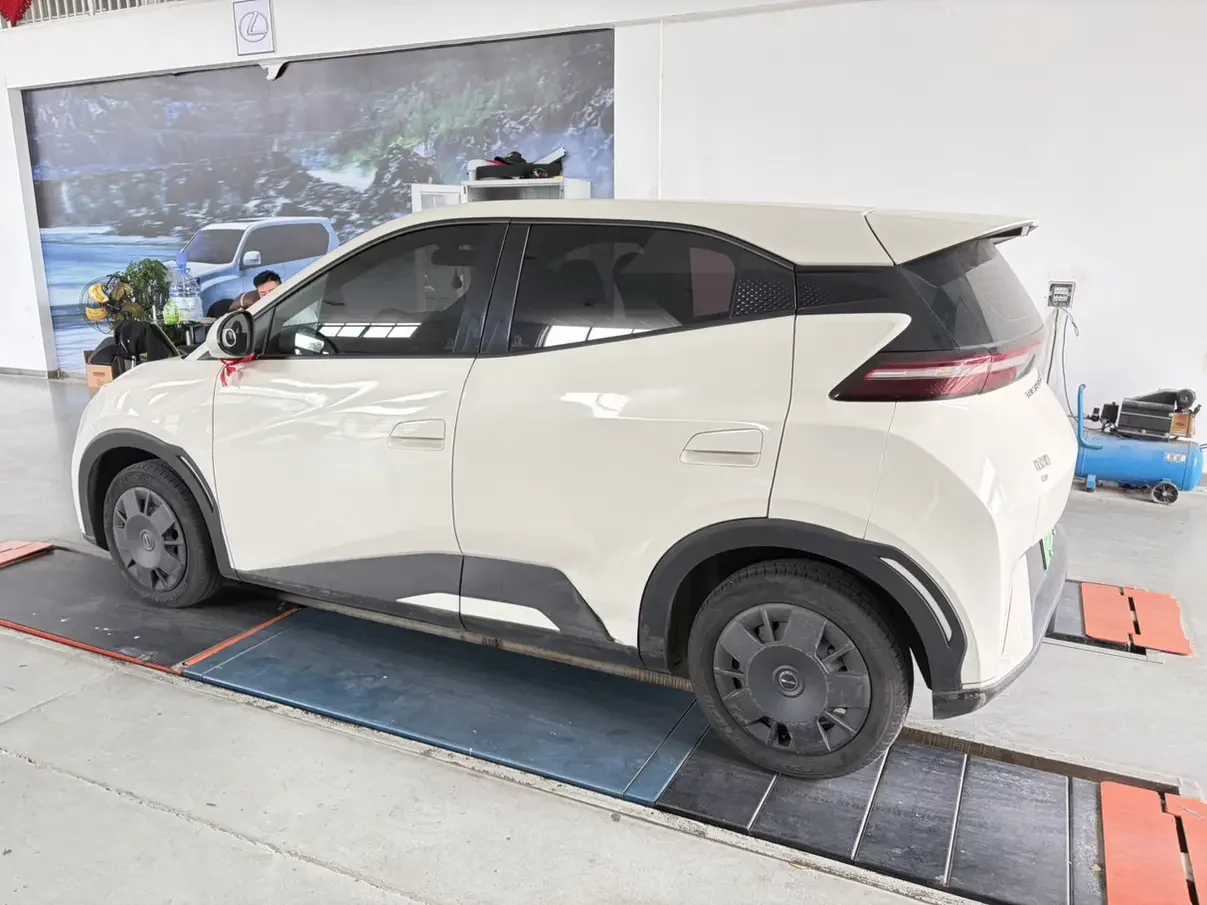 BYD seagull