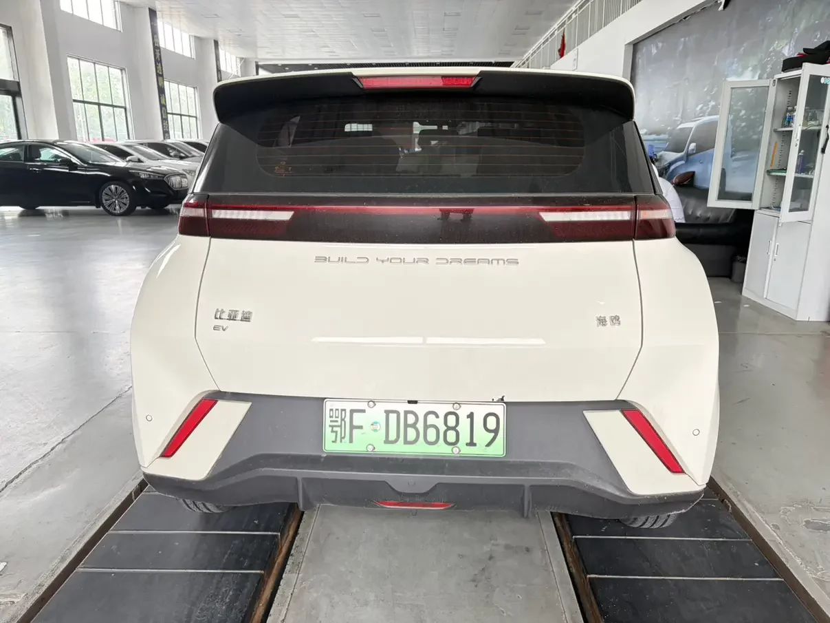BYD seagull