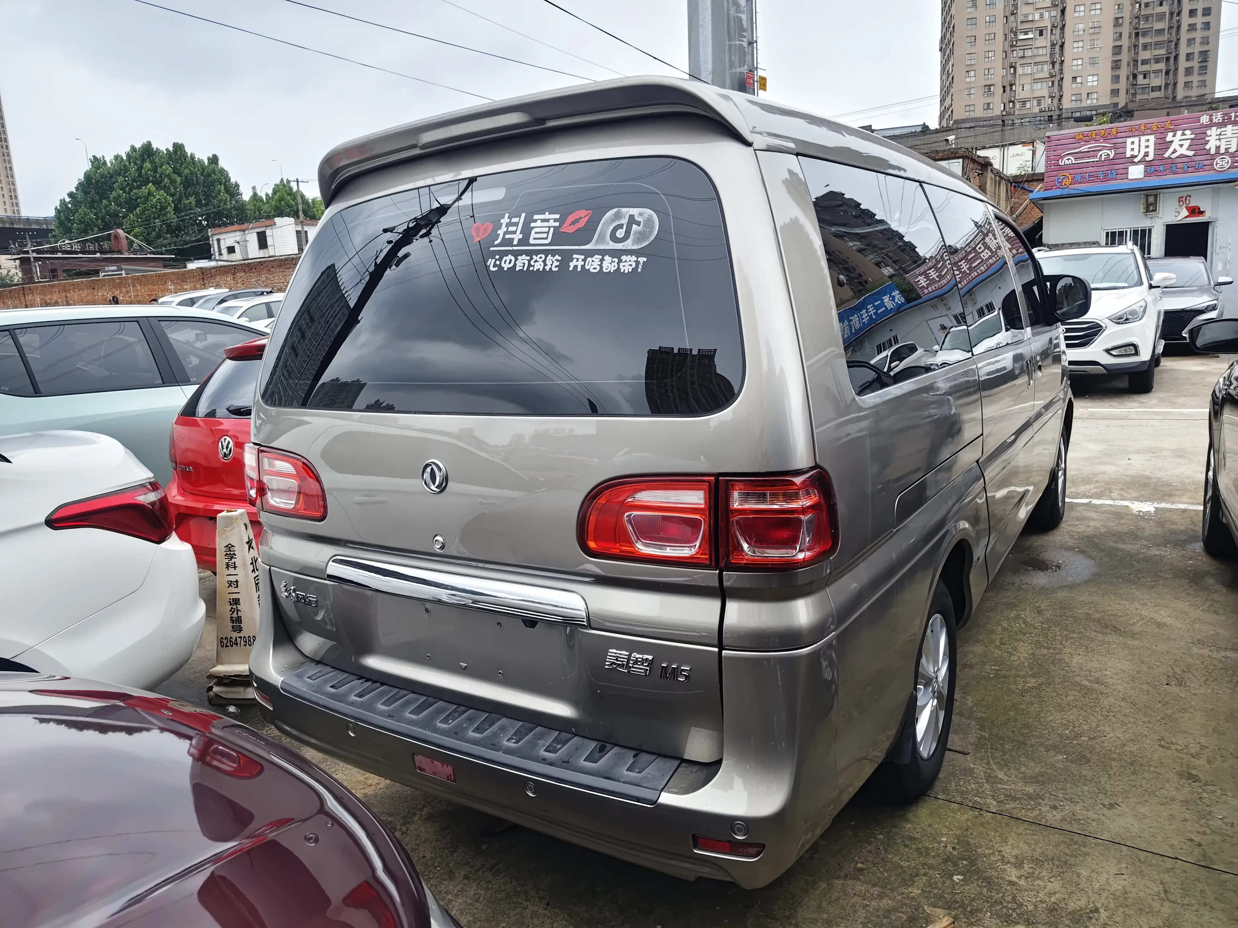 Forthing Lingzhi