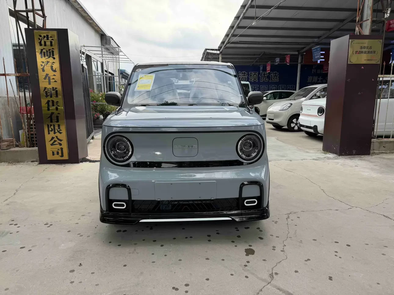 Geely panda