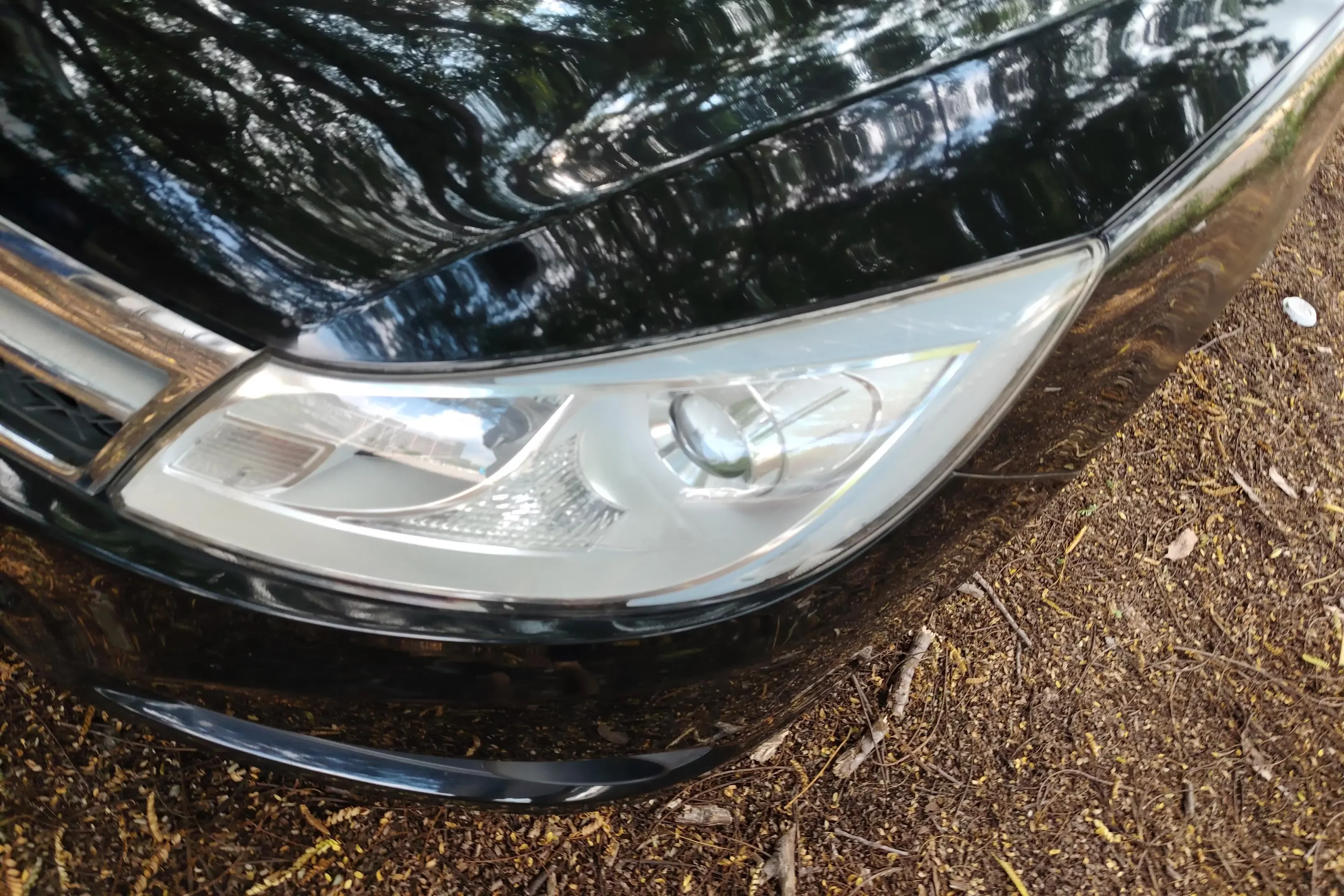 BYD Speedy