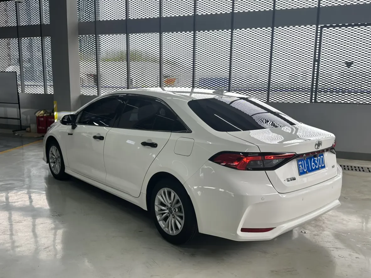 Toyota Asiatic lion