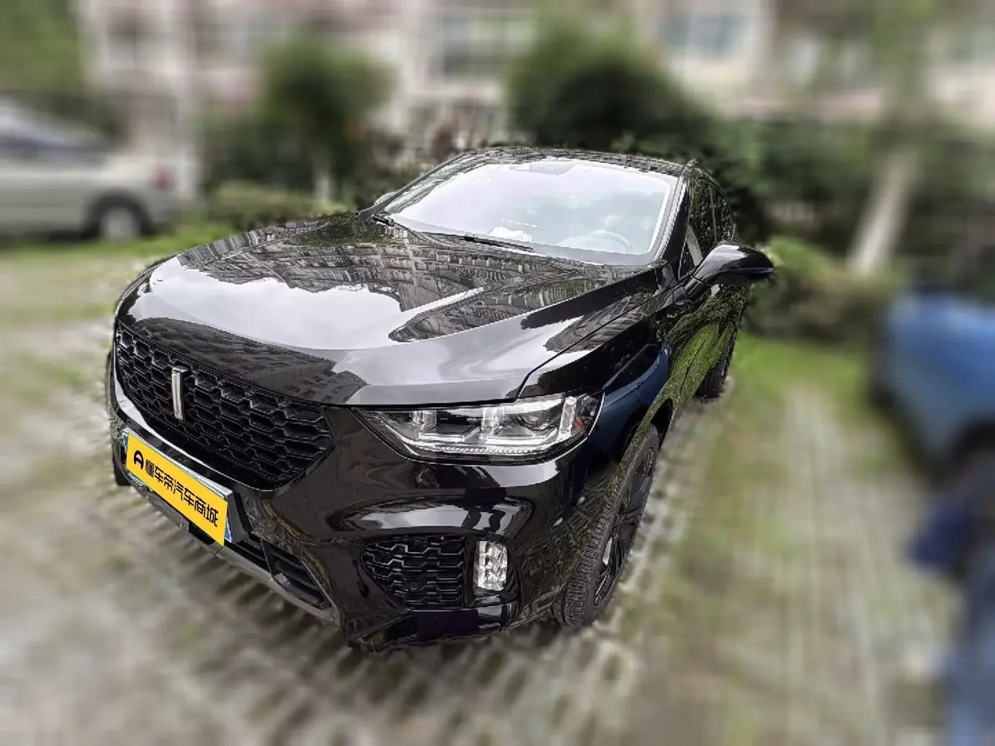 Wey Wei brand VV5