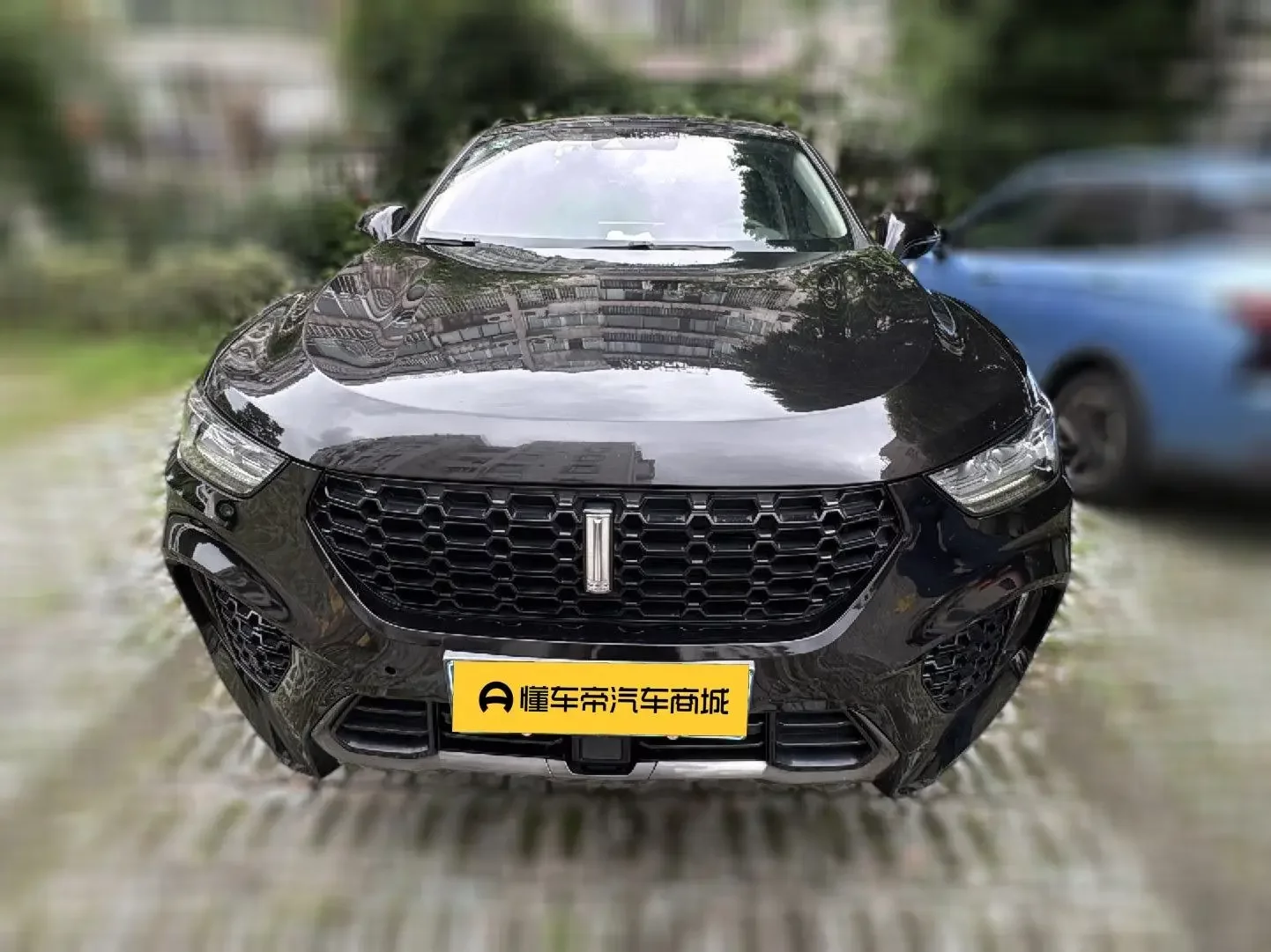 Wey Wei brand VV5