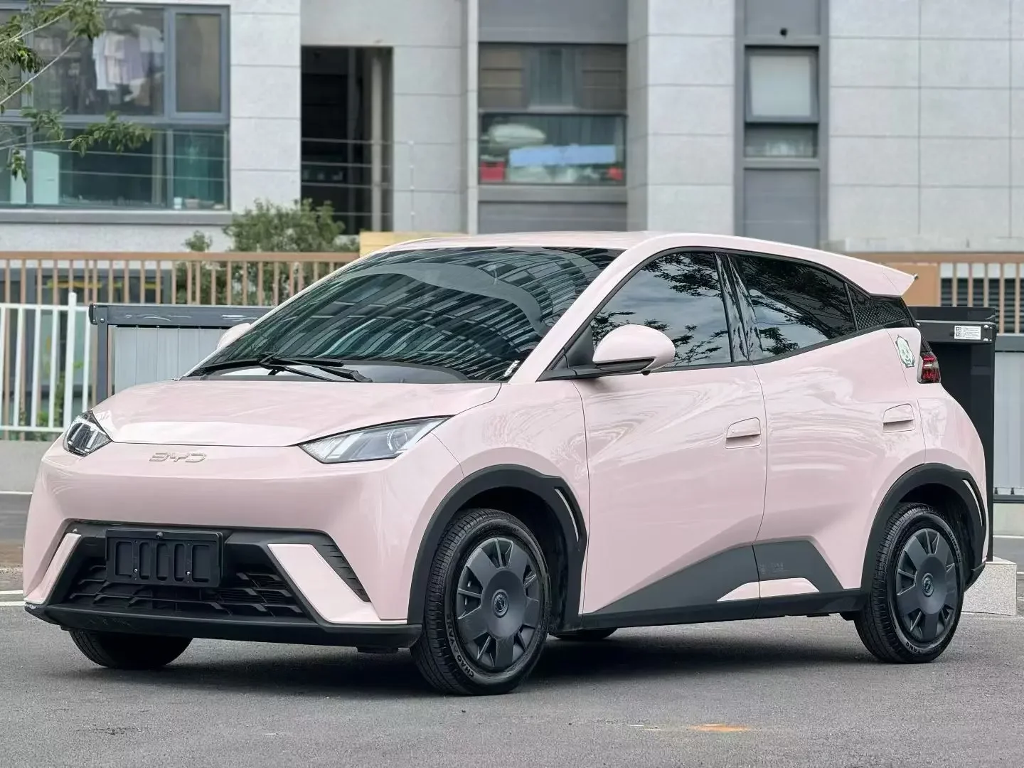 BYD seagull