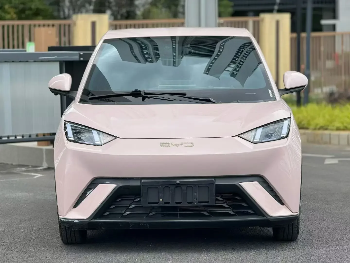 BYD seagull