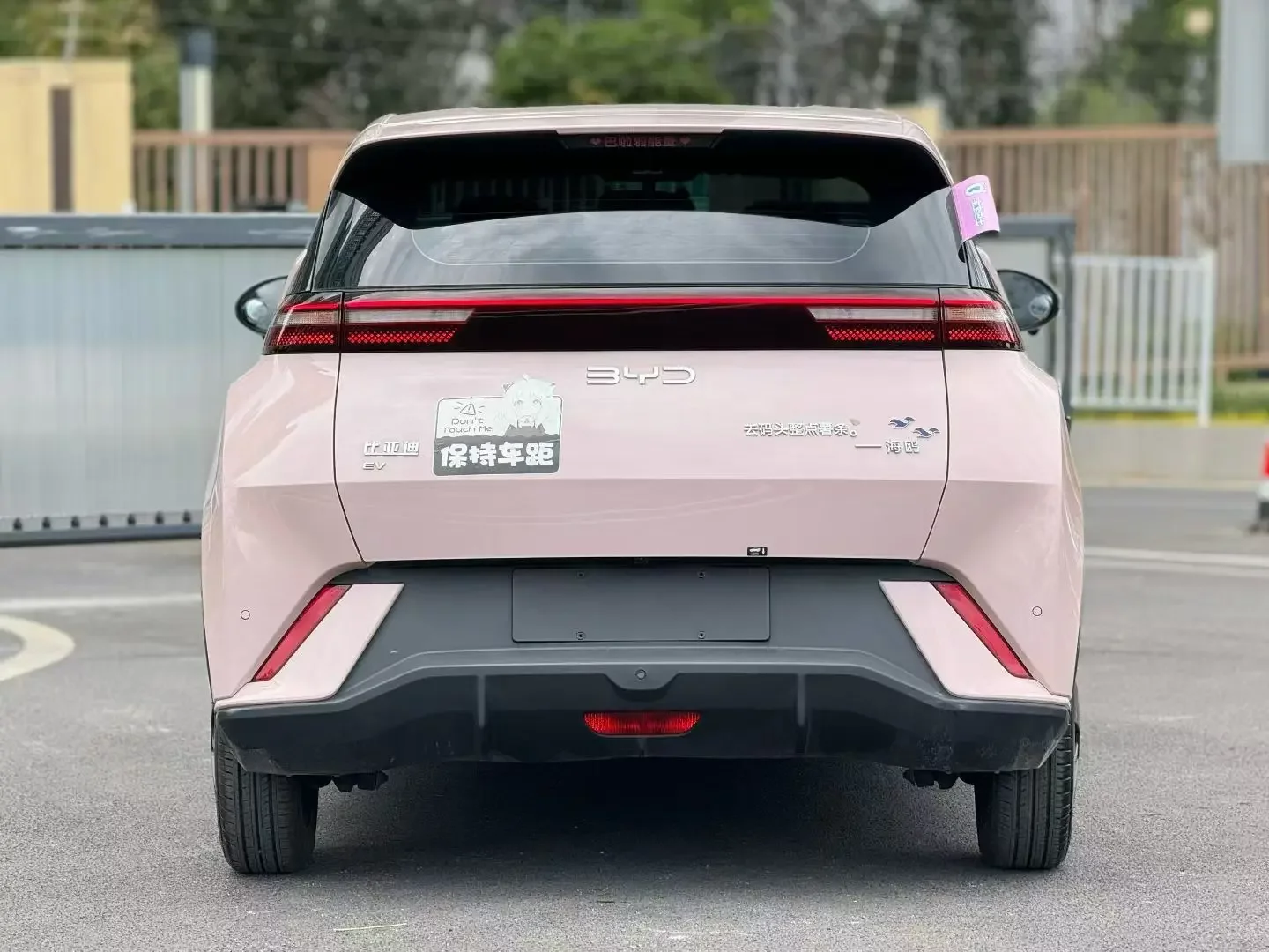BYD seagull