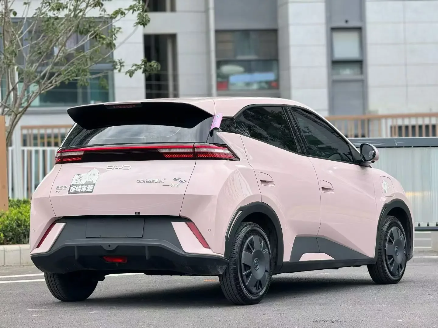 BYD seagull