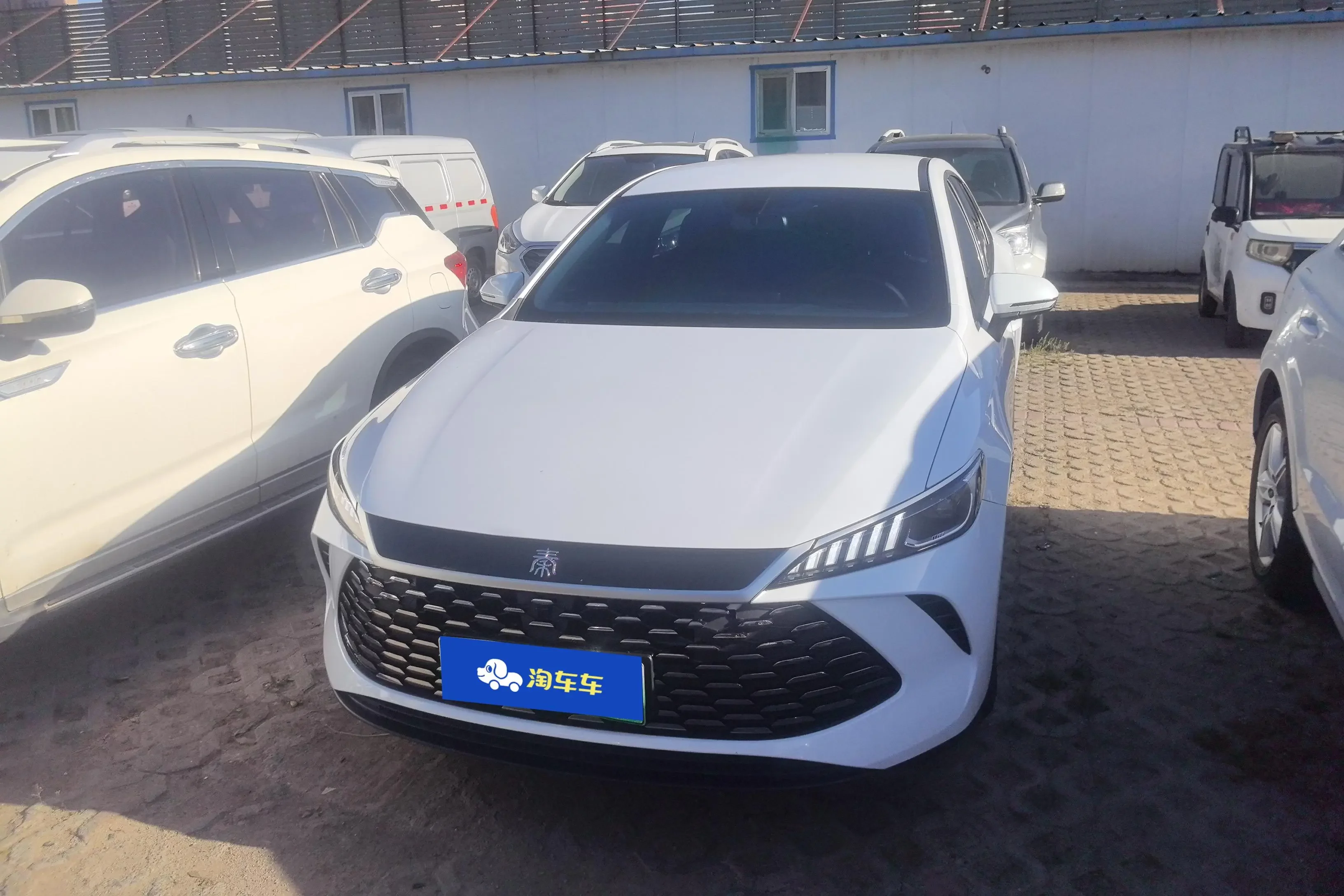 BYD Qin PLUS DM