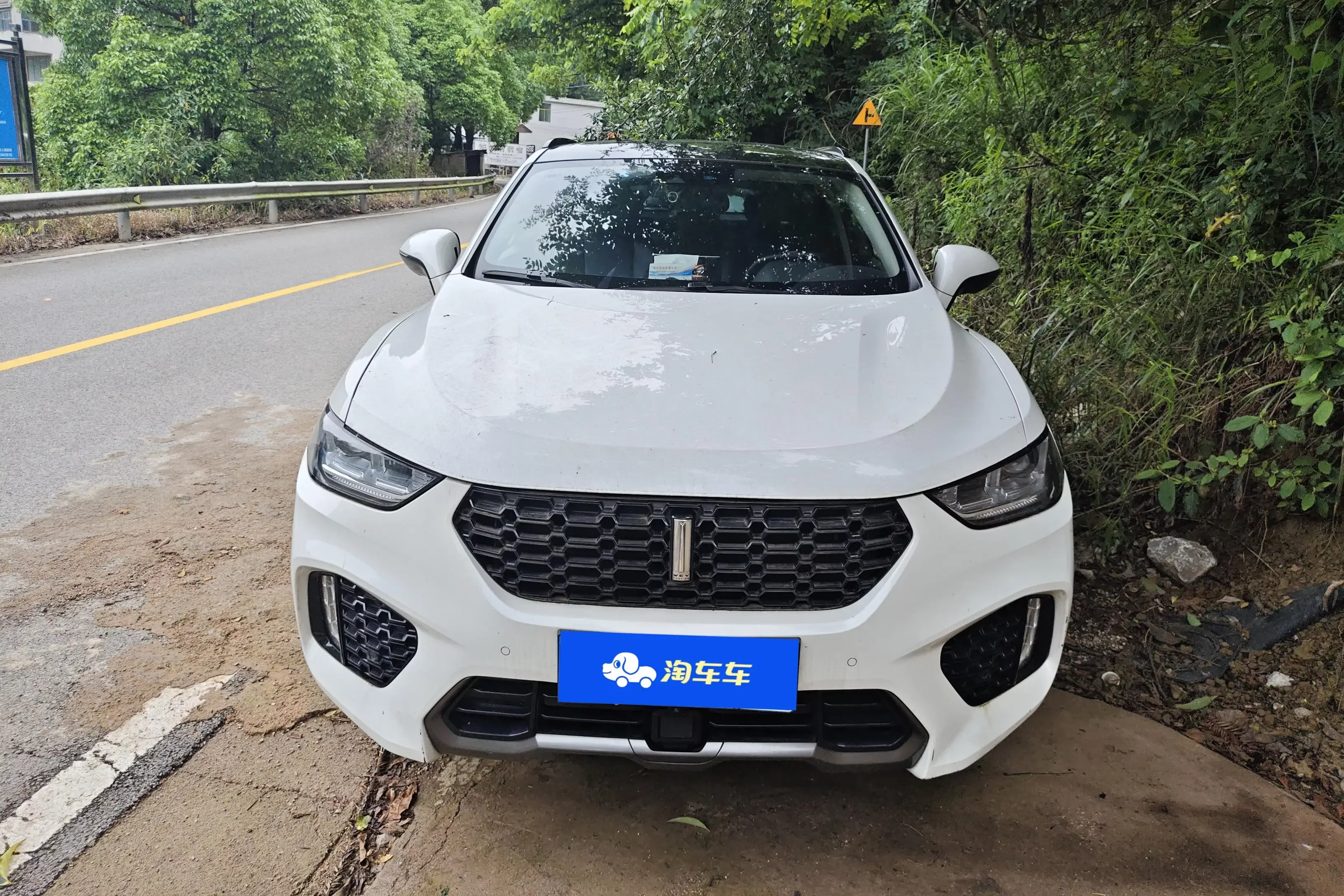 Wey Wei brand VV5