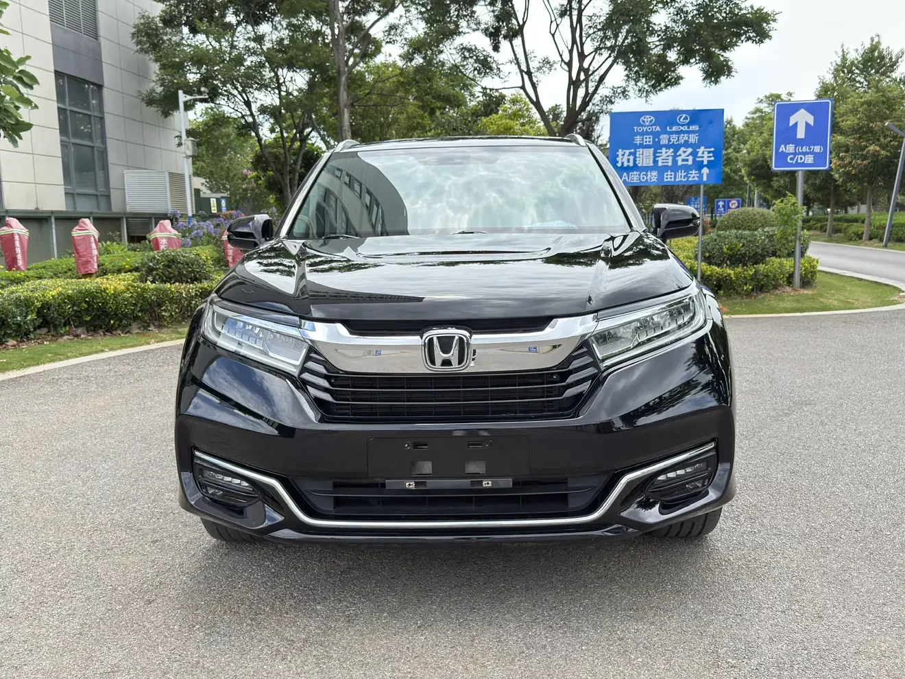 Honda Avancier