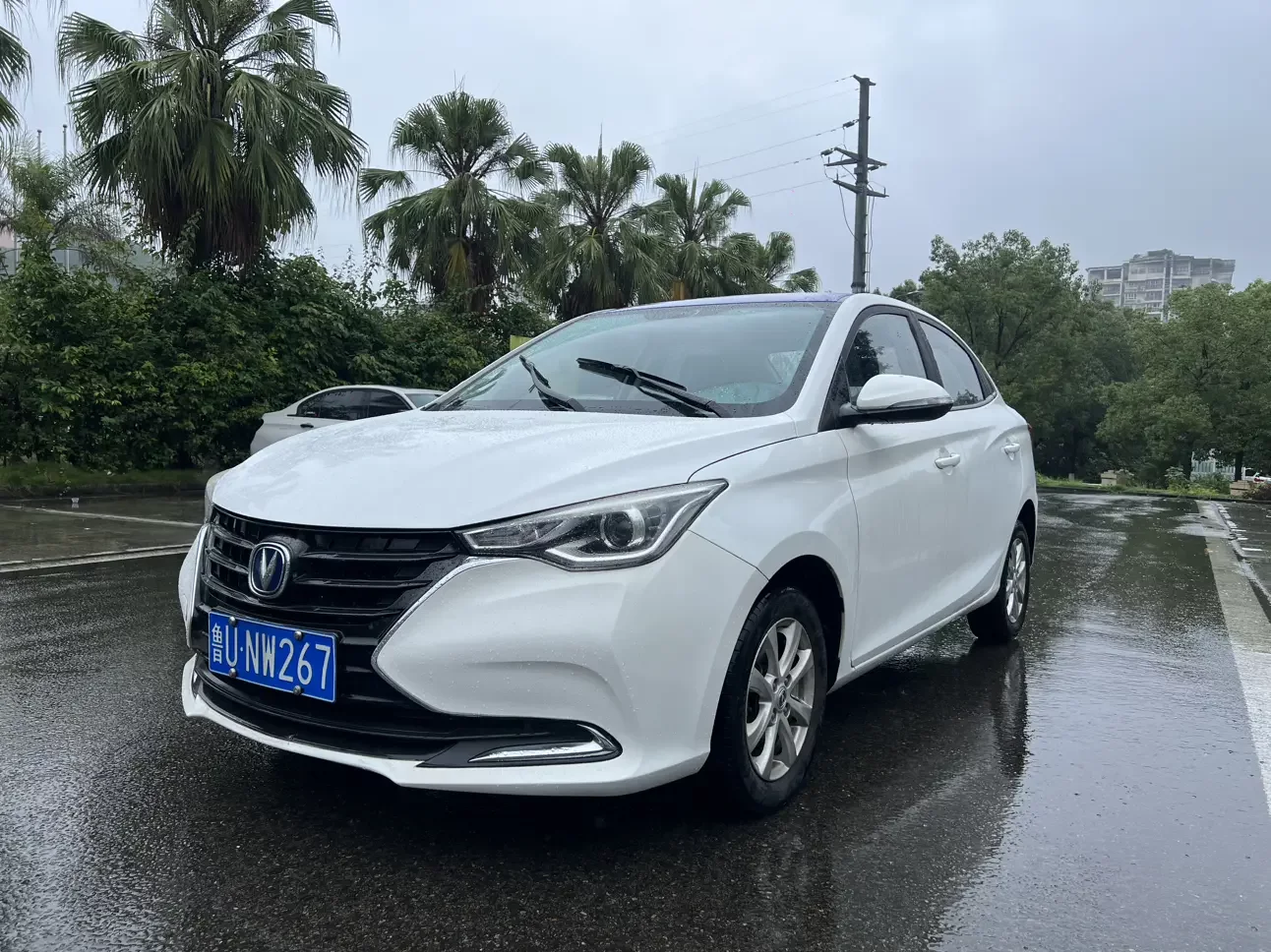 catalog-car-1