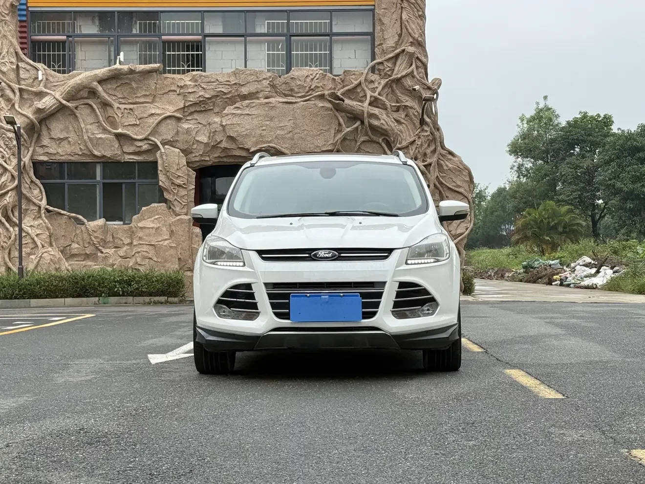 Ford wing tiger