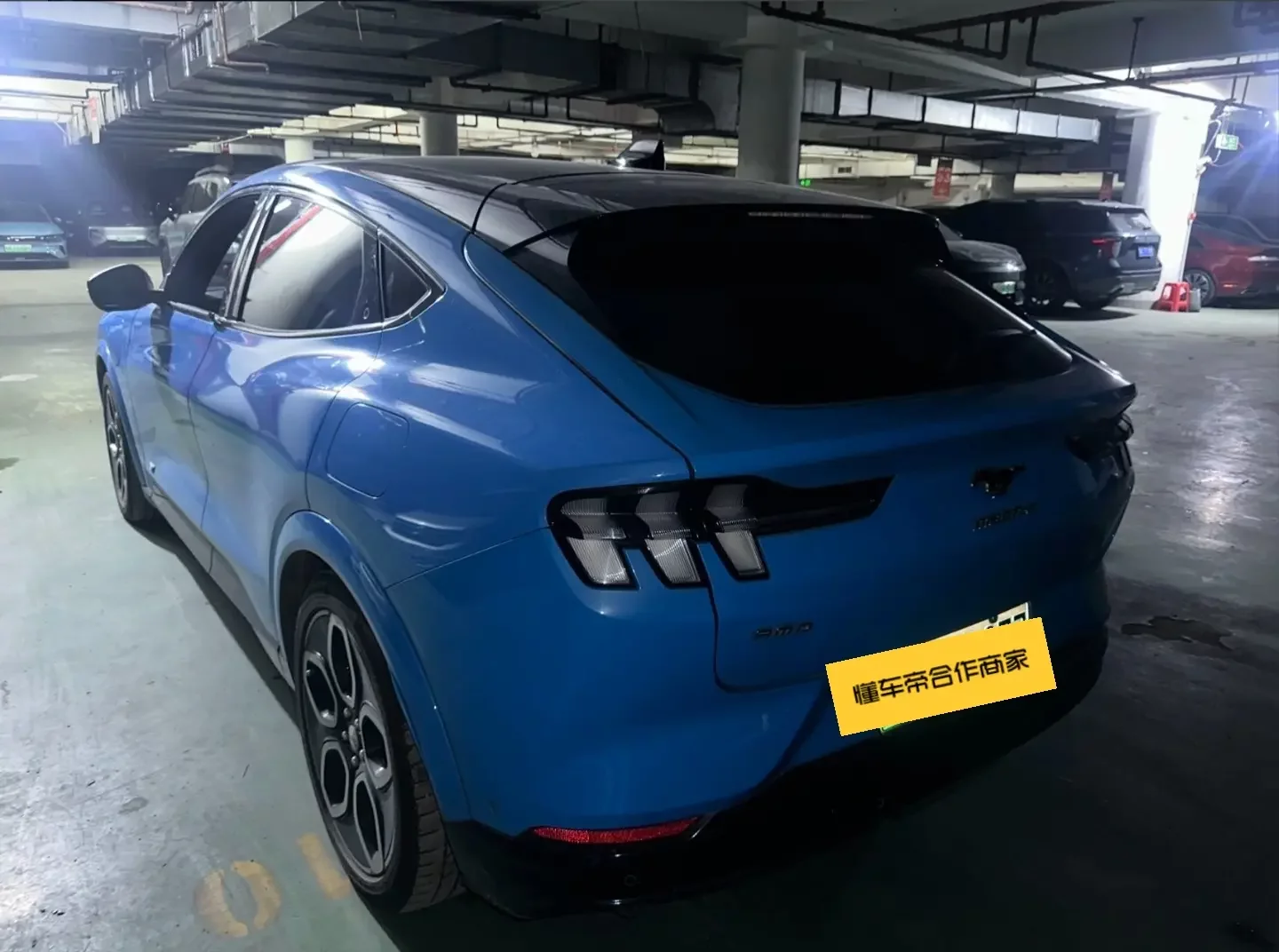 Ford electric horse