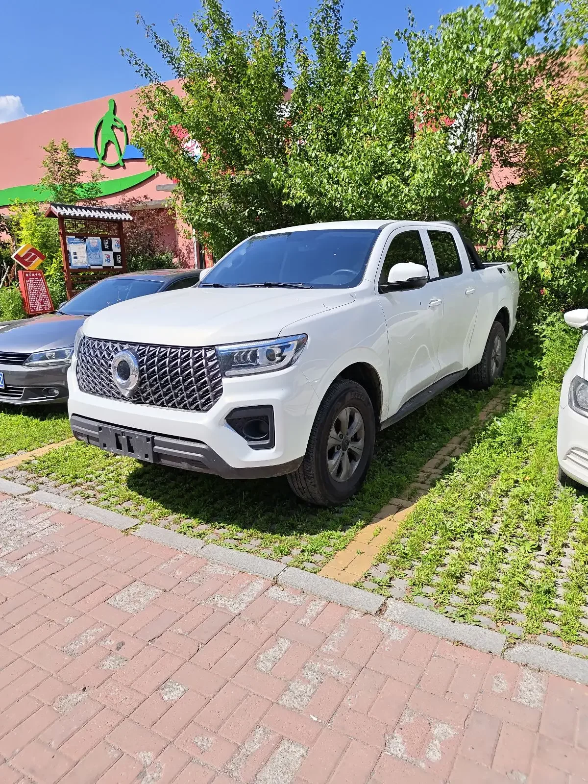 Great Wall Poer (gun)  из Китая