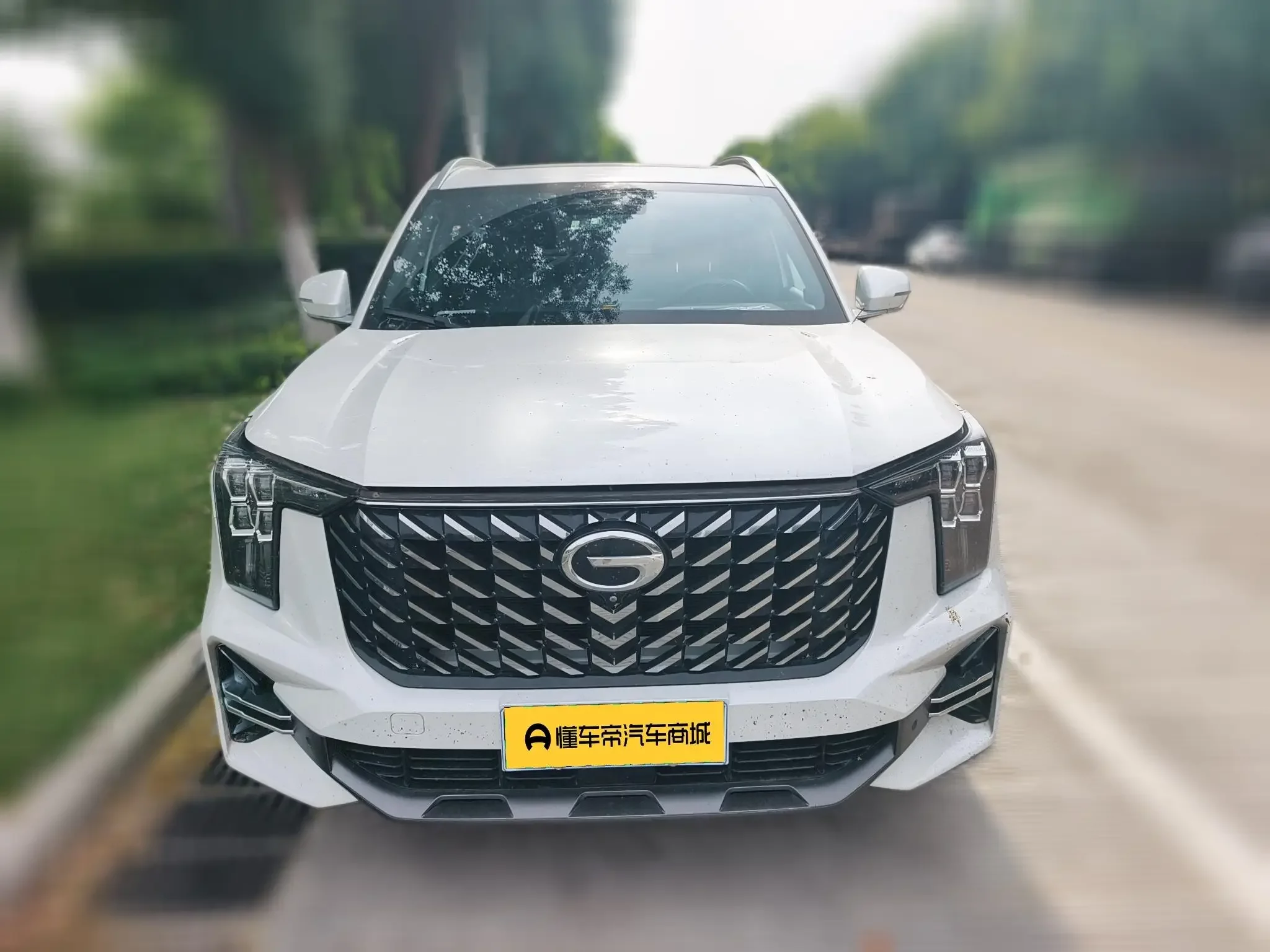 GAC Trumpchi GS8