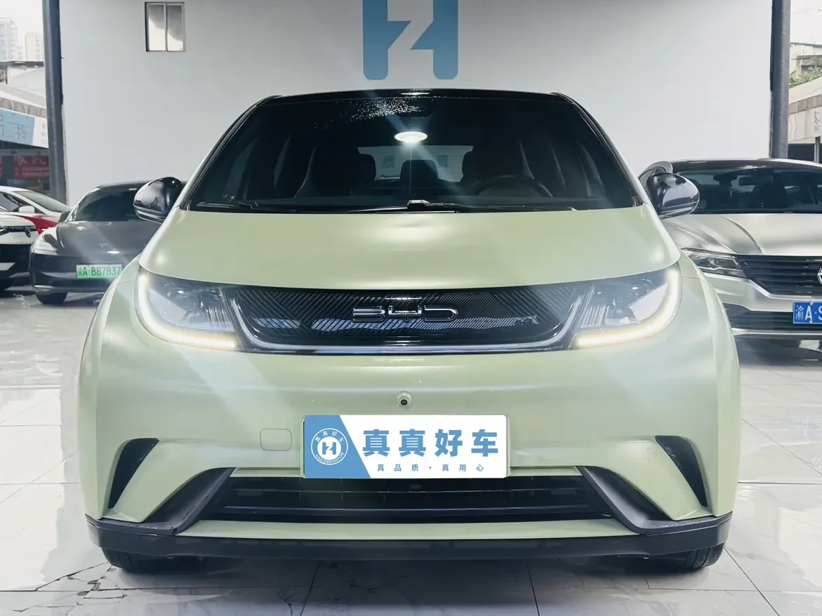 BYD dolphin