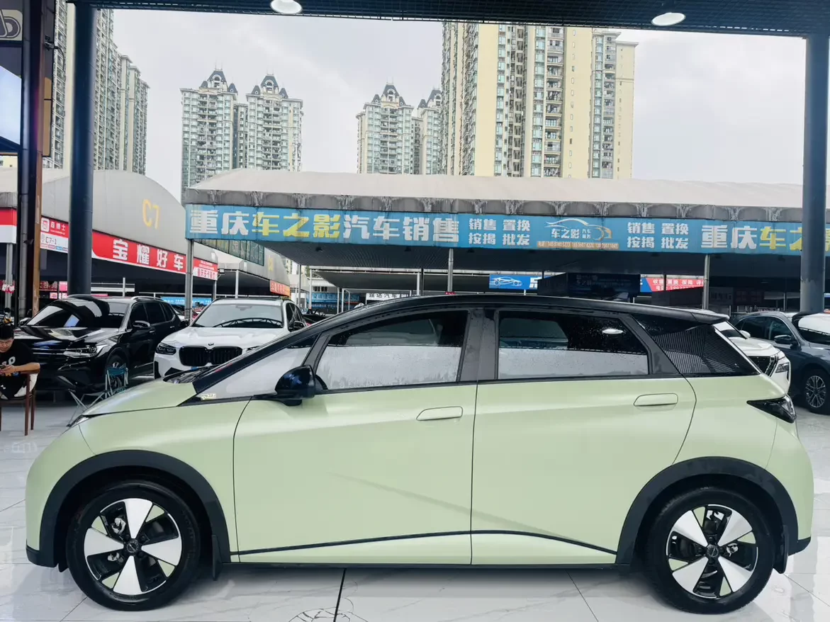 BYD dolphin