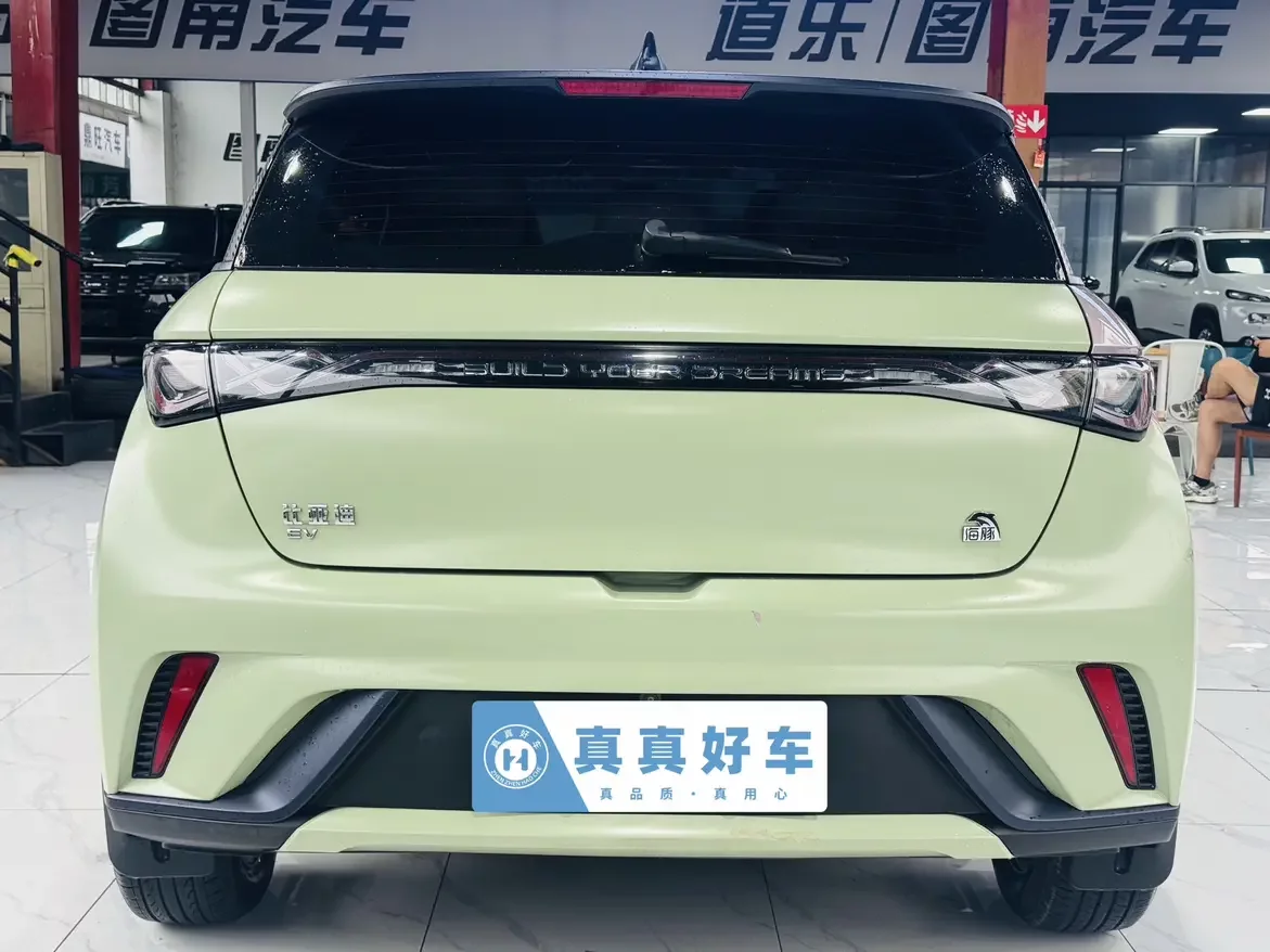 BYD dolphin