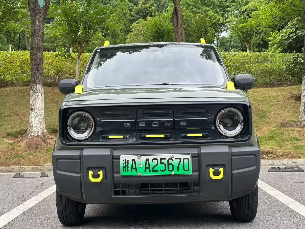 Geely panda