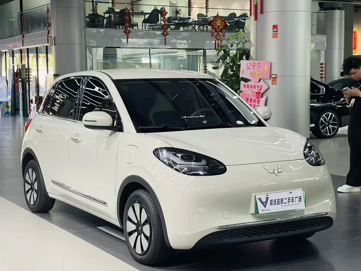 Wuling Bingo