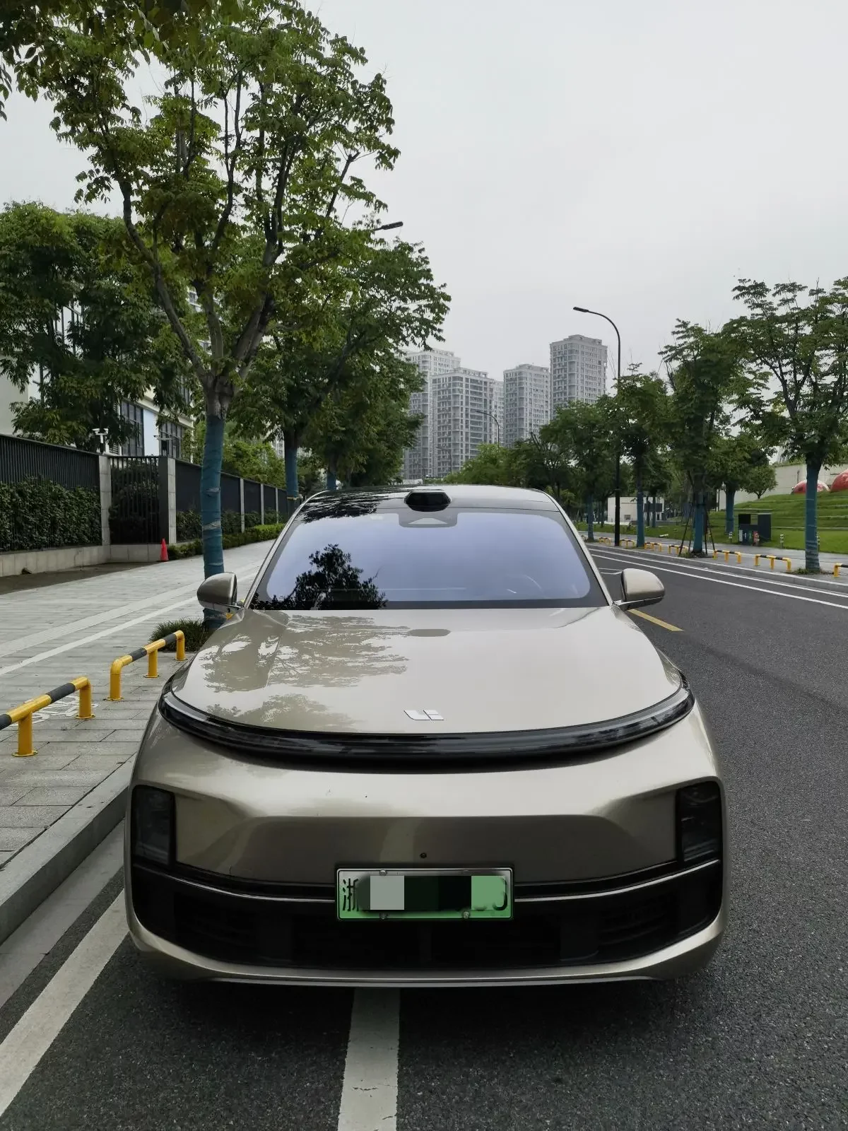 Lixiang L8