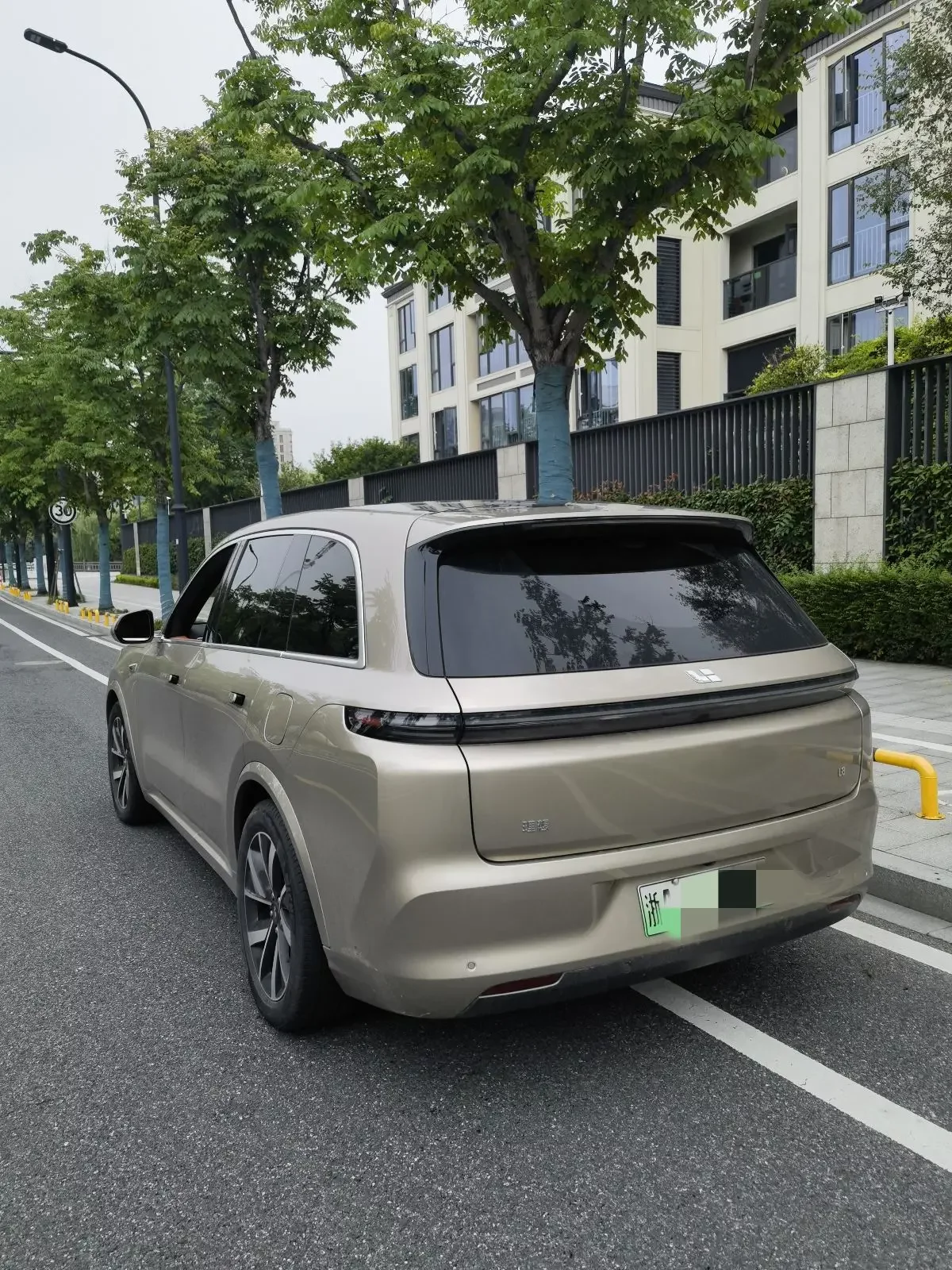 Lixiang L8