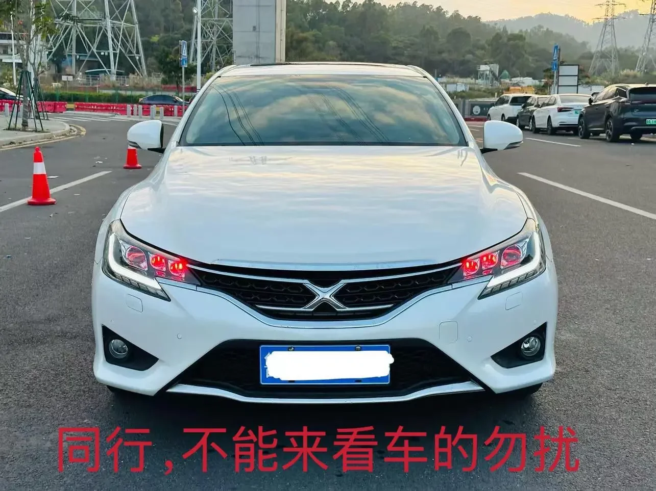 Toyota Ruizhi