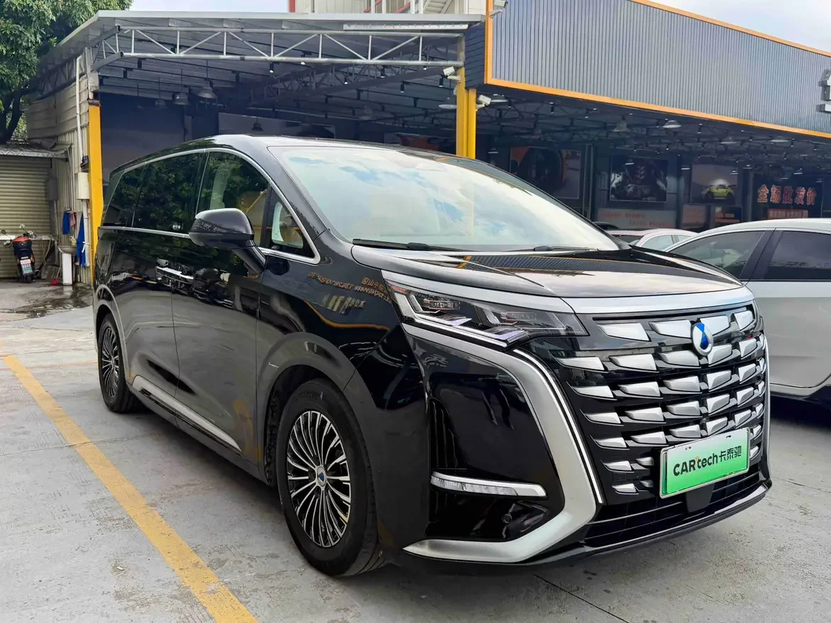 Denza D9 DM