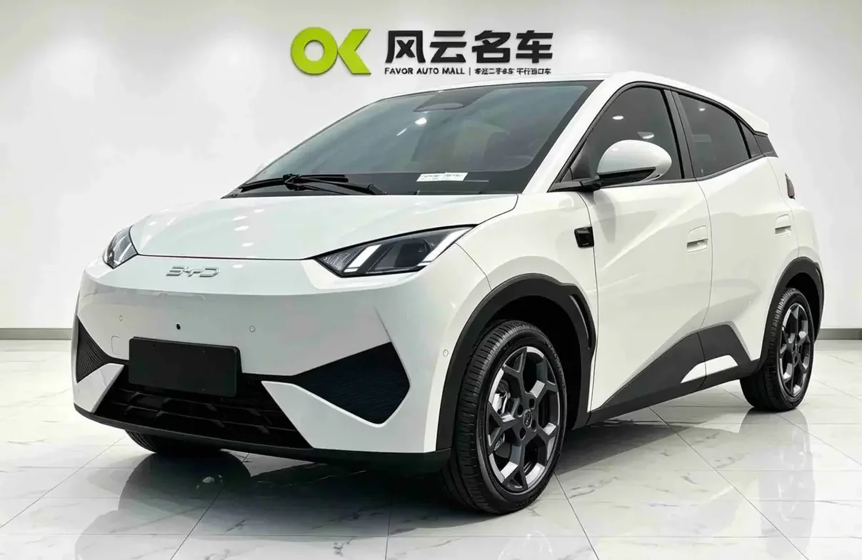 BYD seagull